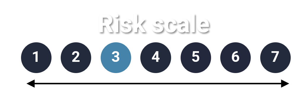 Risk Scale